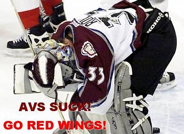 avssuckgoredwings.jpg